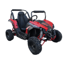 xtr buggy 1000w